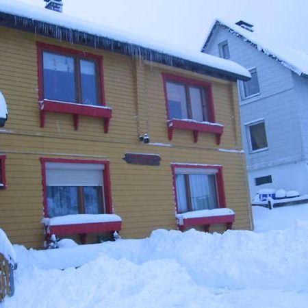 Ferienwohnung Loipe Braunlage Bagian luar foto